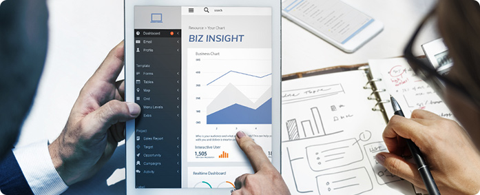 BIZ INSIGHT